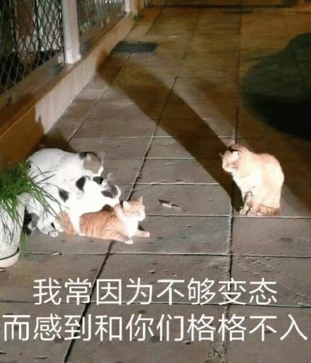 示例图片